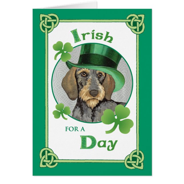 St. Patrick's Day Wirehaire Dachshund (Voorkant)