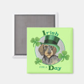 St. Patrick's Day Wirehaire Dachshund Magneet (Voorkant / Achterkant)