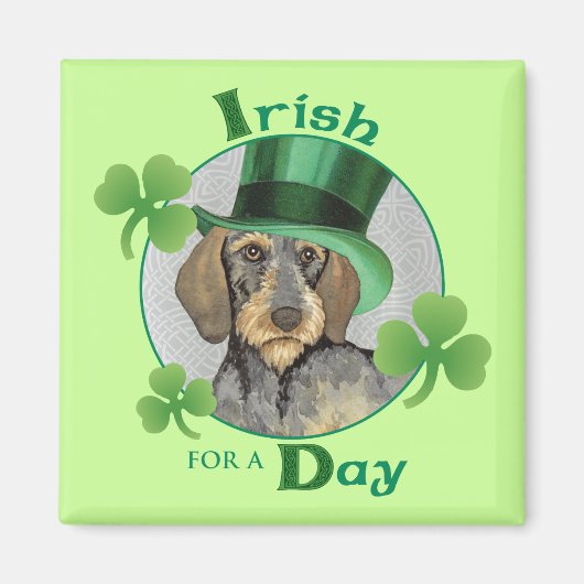 St. Patrick's Day Wirehaire Dachshund Magneet (Voorkant)