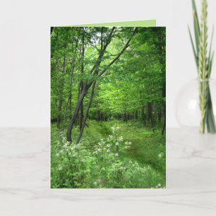 St. Patrick's Day: Woodland Path Kaart