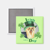St. Patrick's Day Yorkie Magneet (Voorkant / Achterkant)