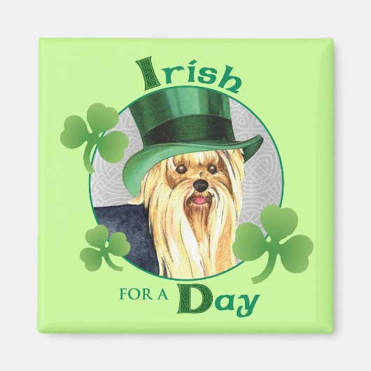 St. Patrick's Day Yorkie Magneet (Voorkant)