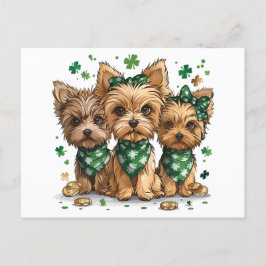 St. Patrick's Day Yorkshire Terriër Honden Briefkaart