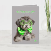 St Patricks de Bofkont van de Dag Kaart (Voorkant)