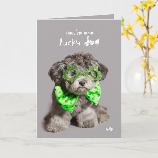 St Patricks de Bofkont van de Dag Kaart (Gele Bloem)