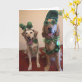 St. Patrick's Dog Kaart (Gele Bloem)