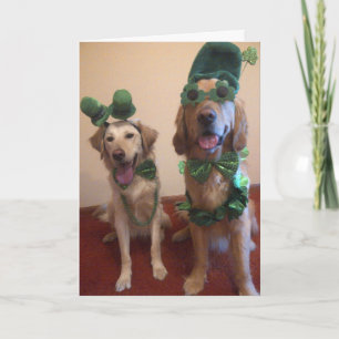St. Patrick's Dog Kaart