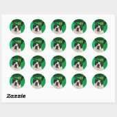 St Patrick's hond Ronde Sticker (Vel)