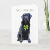 St. Patrick's Labrador - Black Lab Feestdagen Kaart (Voorkant)