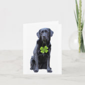 St. Patrick's Labrador - Black Lab Feestdagen Kaart (Voorkant)