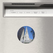 st patricks magneet (Insitu (Vaatwasser))