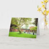 St. Patrick's Park Kaart (Gele Bloem)