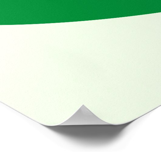 St. Patricks Pet Poster (Hoek)