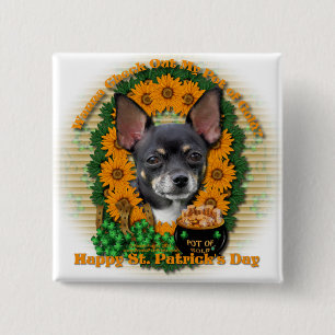 St Patricks - Pot Gold - Chihuahua - Isabella Vierkante Button 5,1 Cm
