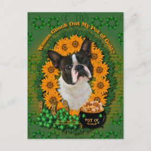 St Patricks - Pot of Gold - Boston Terrier Briefkaart