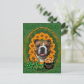 St Patricks - Pot of Gold - Bulldog Briefkaart (Staand voorkant)