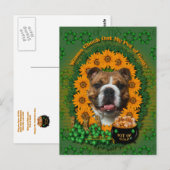 St Patricks - Pot of Gold - Bulldog Briefkaart (Voorkant / Achterkant)