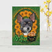 St Patricks - Pot of Gold - Chihuahua - Isabella Kaart (Gele Bloem)
