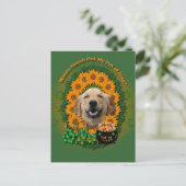 St Patricks - Pot of Gold - Golden Retriever Micke Briefkaart (Staand voorkant)