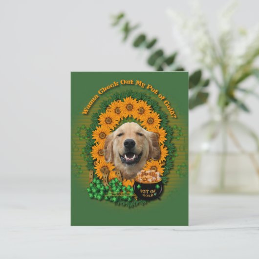 St Patricks - Pot of Gold - Golden Retriever Micke Briefkaart (Staand voorkant)
