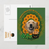 St Patricks - Pot of Gold - Golden Retriever Micke Briefkaart (Voorkant / Achterkant)