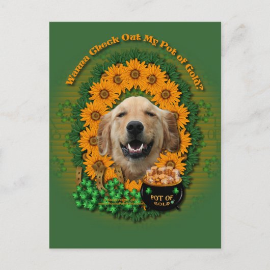 St Patricks - Pot of Gold - Golden Retriever Micke Briefkaart (Voorkant)