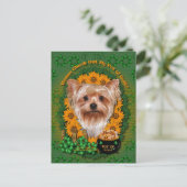 St Patricks - Pot of Gold - Yorkshire Terrier Briefkaart (Staand voorkant)