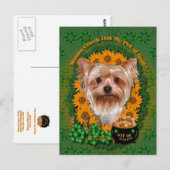 St Patricks - Pot of Gold - Yorkshire Terrier Briefkaart (Voorkant / Achterkant)