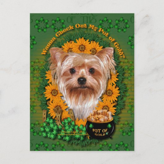 St Patricks - Pot of Gold - Yorkshire Terrier Briefkaart (Voorkant)