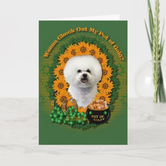 St Patricks - Pot van Goud - Bichon Frise Kaart (Voorkant)
