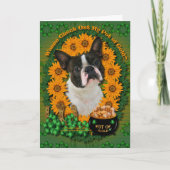 St Patricks - Pot van Goud - Boston Terrier Kaart (Voorkant)