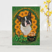 St Patricks - Pot van Goud - Boston Terrier Kaart (Gele Bloem)