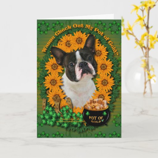 St Patricks - Pot van Goud - Boston Terrier Kaart (Gele Bloem)