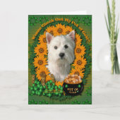 St Patricks - Pot van Goud - het Hoogland Terrier Kaart (Voorkant)
