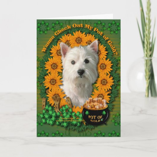 St Patricks - Pot van Goud - het Hoogland Terrier Kaart (Voorkant)