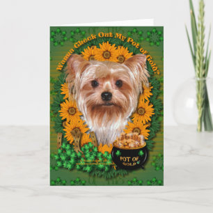 St Patricks - Pot van Goud - Yorkshire Terrier Kaart