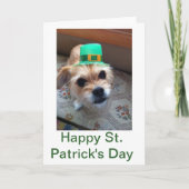 St. Patrick's Puppy Kaart (Voorkant)
