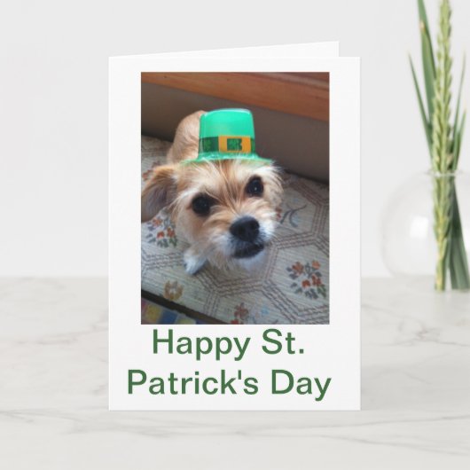 St. Patrick's Puppy Kaart (Voorkant)