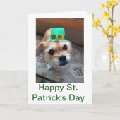 St. Patrick's Puppy Kaart (Gele Bloem)
