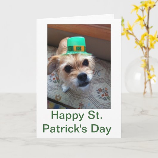 St. Patrick's Puppy Kaart (Gele Bloem)