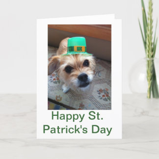 St. Patrick's Puppy Kaart