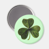St. Patrick's Three Leaf Clover Magneet (Voorkant / Achterkant)