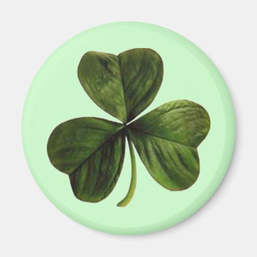 St. Patrick's Three Leaf Clover Magneet (Voorkant)