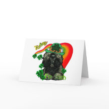 St Patricks van de poedel Dag