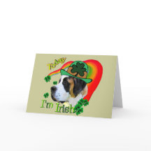 St Patricks van de sint-bernard Dag