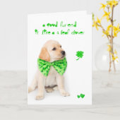 St Patricks van de vriendschap het Puppy van de Kaart (Gele Bloem)