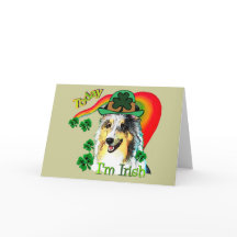 St. Patricks van Sheltie Dag
