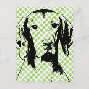 St Patricks - Vizsla Silhouette - Reagan Briefkaart