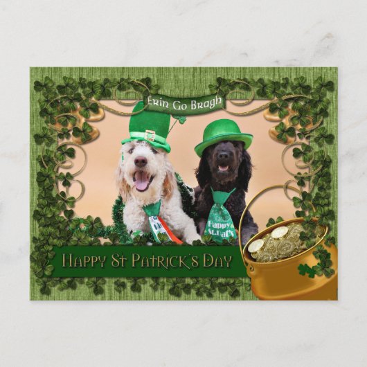 St Pats Day - Golden Doodles - Sadie en Izzie Briefkaart (Voorkant)