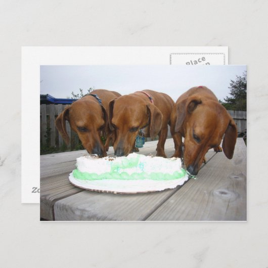 St Pattys Day Briefkaart (Voorkant / Achterkant)